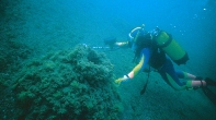 DETECTOR METALES