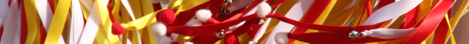 banner sección