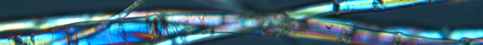 banner sección