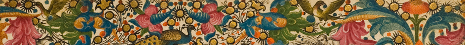 banner sección