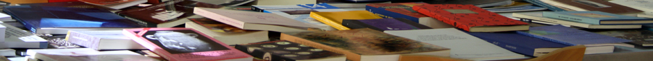 banner sección