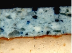 Estratigrafía-MO