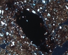 Ladrillo (microscopio petrográfico 50x)