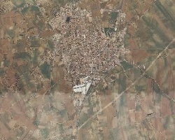 Trigueros