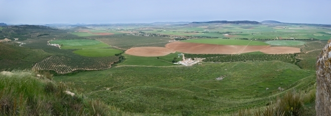 VEGA DE ANTEQUERA