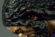 Detalle del rostro