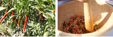 Gastronomía