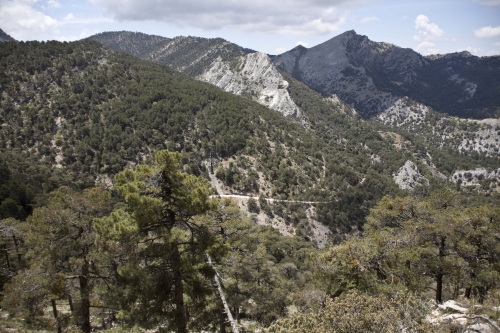 Nacimiento del Río Guadalquivir y su entorno. Quesada. Demarcación de Sierra de Cazorla, Segura y La Sagra. Autor: Fernández Salinas, Víctor. Fondo gráfico IAPH