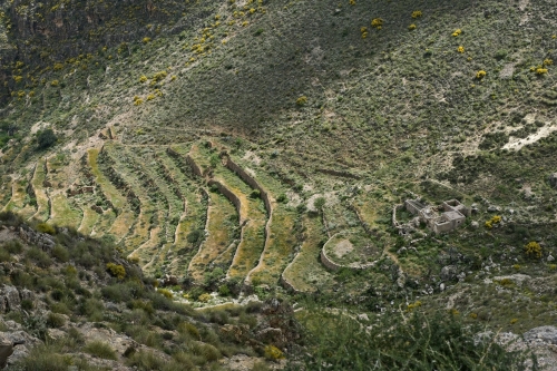 Bancales. Huebro. Demarcación Valle de Almanzora. Autor: Cazalla Montijano, Juan Carlos. Fondo Gráfico IAPH