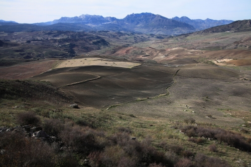 Paisaje de Acinipo. Ronda. Autor: Fernández Salinas, Víctor. Fondo gráfico IAPH