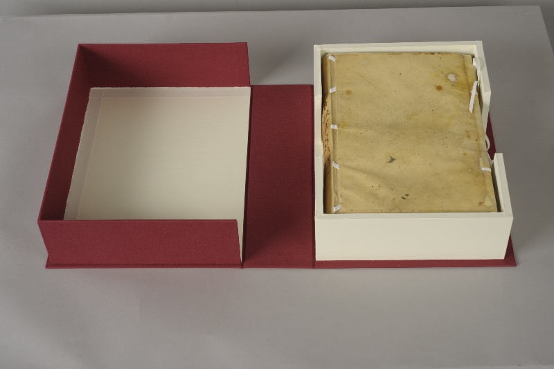 Intervención en las Actas capitulares de la Palma del 