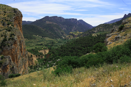 jaen02