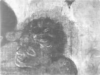 conservacion_arguijo