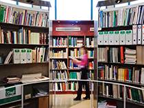 Profesión bibliotecaria