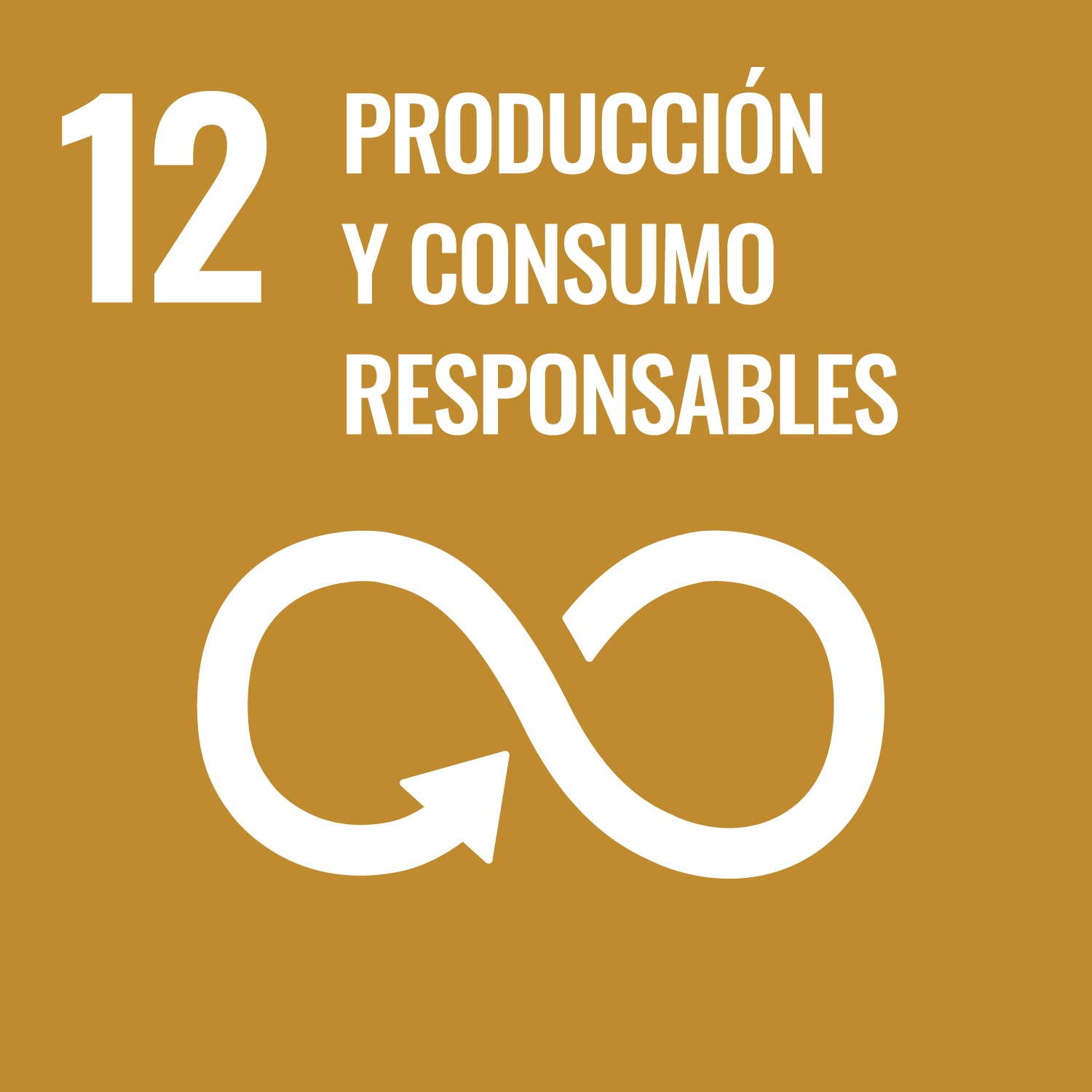 12. PRODUCCIÓN Y CONSUMO RESPONSABLERS