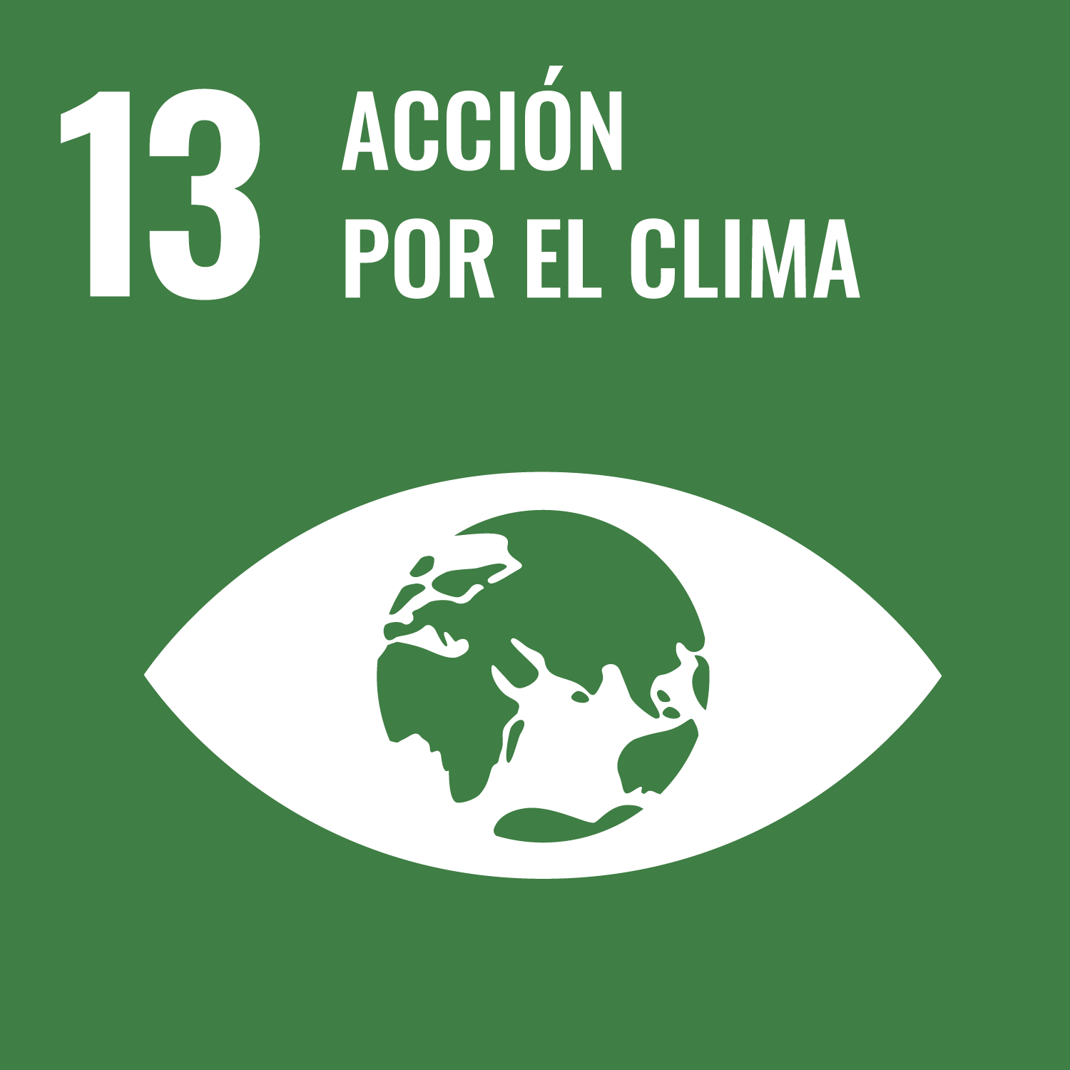13. ACCIÓN POR EL CLIMA