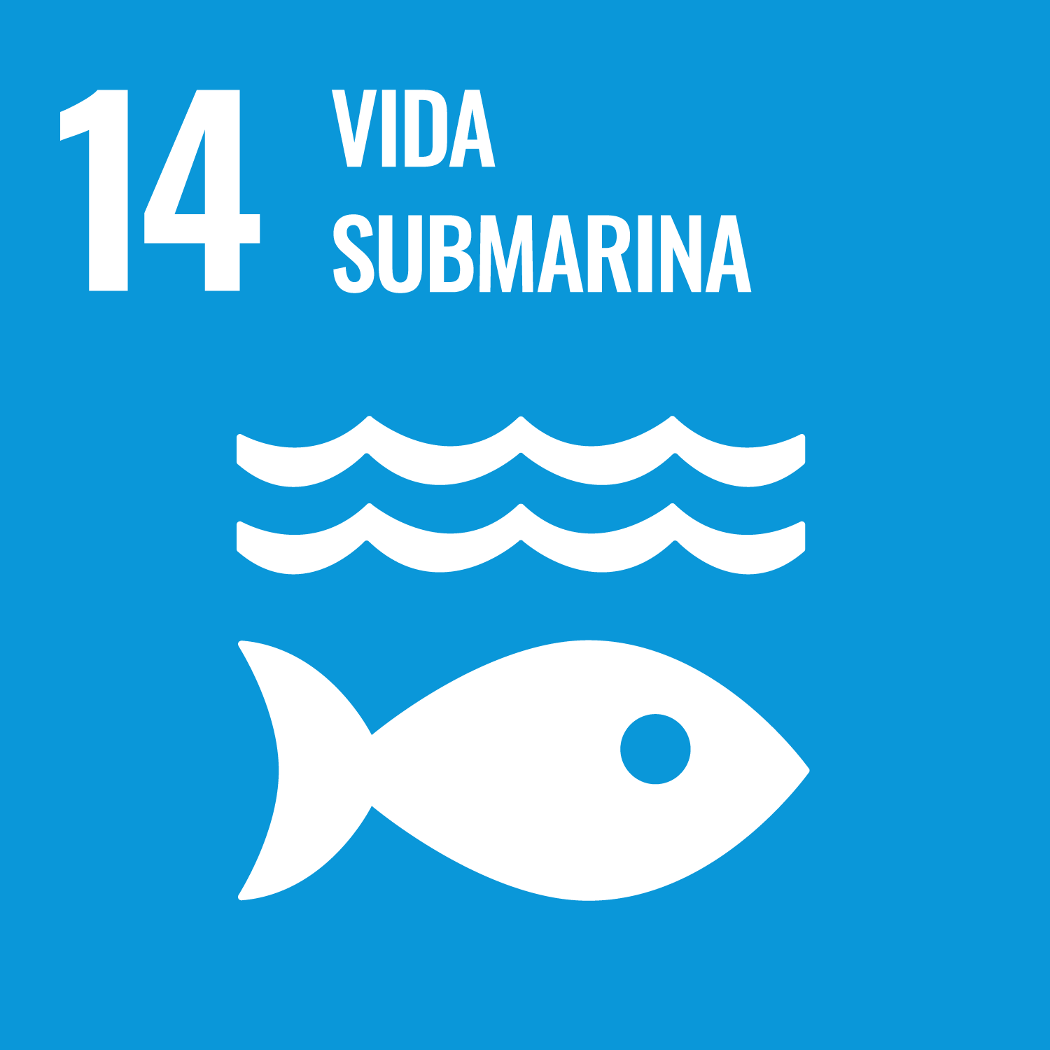 14. VIDA SUBMARINA
