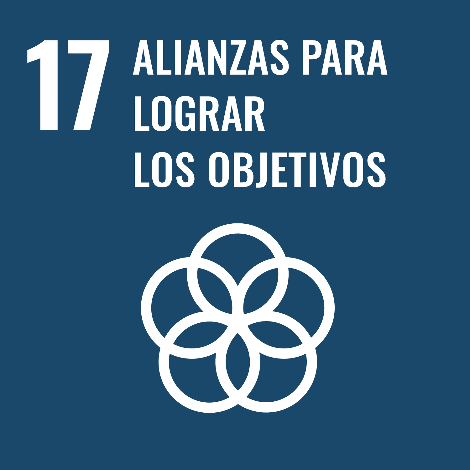 17. ALIANZAS PARA LOGRAR LOS OBJETIVOS