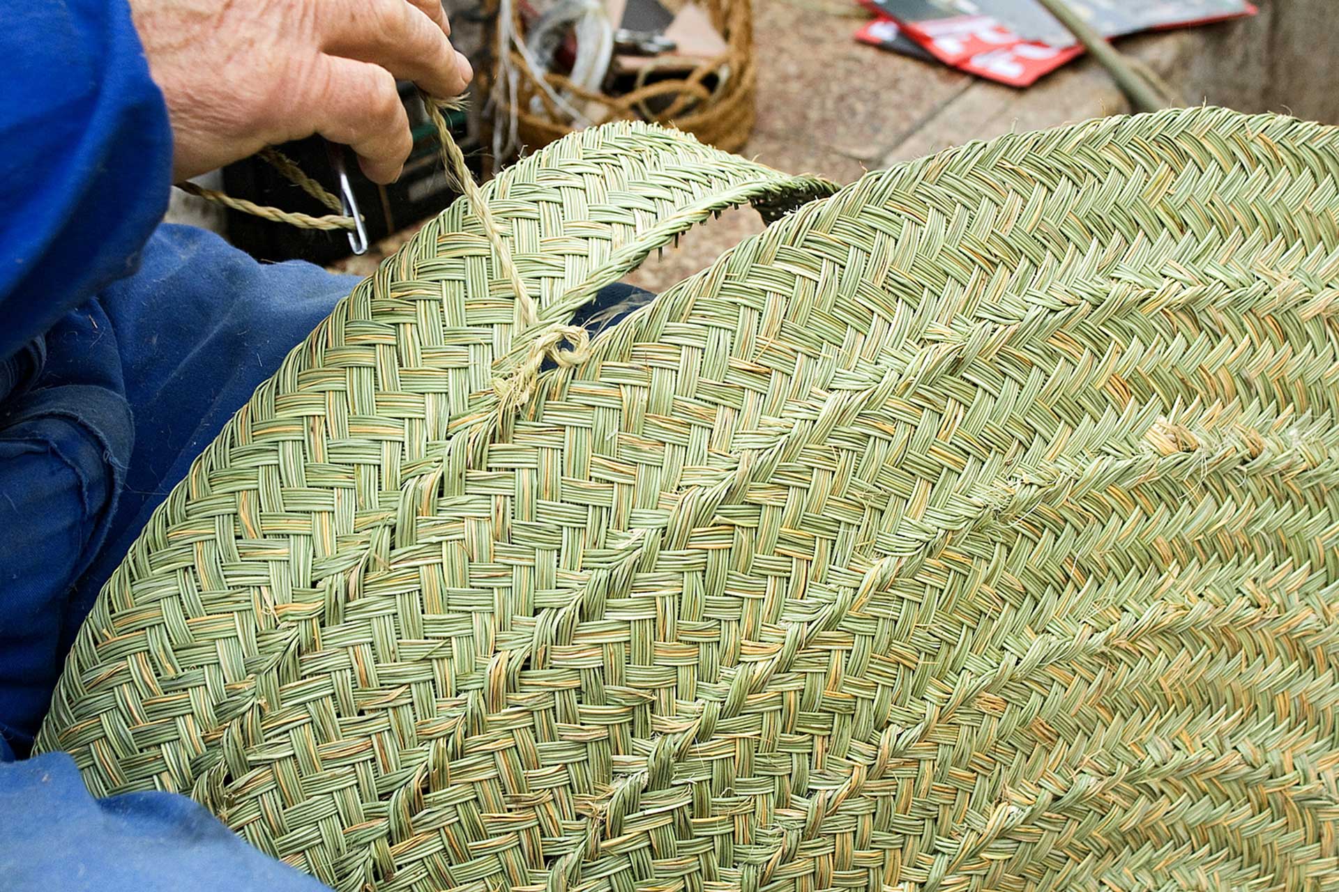 Conocimiento tradicional: transformación de materia vegetal