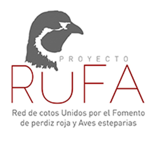 Proyecto RUFA
