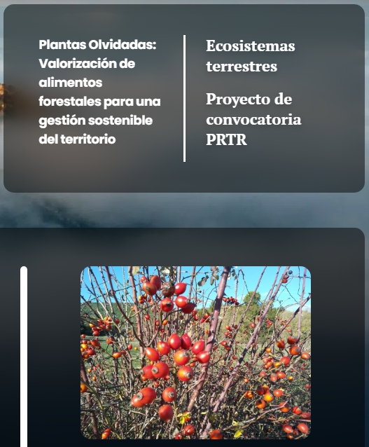 Proyecto Plantas Olvidadas