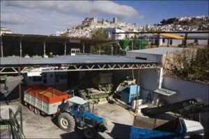 Producción de aceite