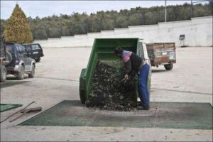 Producción de aceite