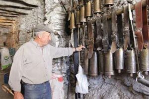 Arreglos de cencerros en la trashumancia