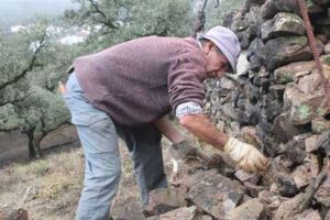 Construcción de paredes de piedra seca en La Umbria