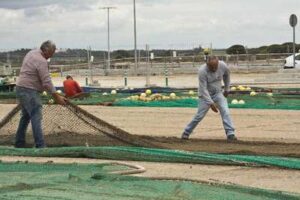 Confección de redes