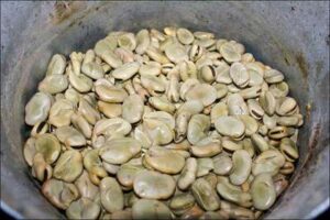 Elaboración de habas corchas y comensalismo en las Cruces de Lebrija