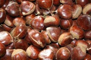 Elaboración del Potaje de castañas