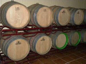 Vinicultura en Torreperogil