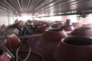 Sociedad Cooperativa Andaluza de la Vid de Santa Gertrudis