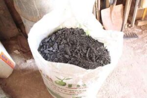 Elaboración de picón