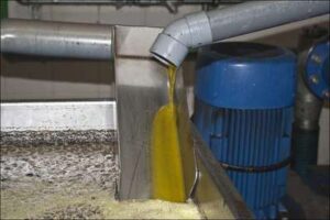 Producción de aceite