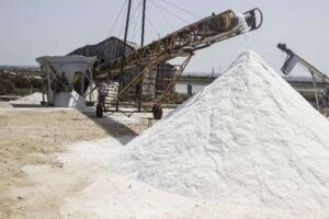 Salinas en la Bahía de Cádiz