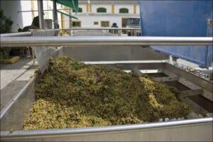 Crianza de vinos de Soleras y Criaderas