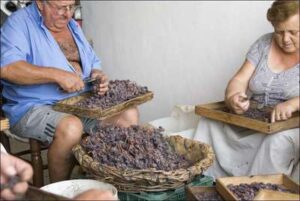 Producción de pasas