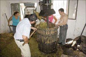 Elaboración de mosto