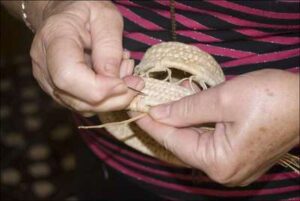 El trabajo de la farfolla