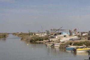 Los Riacheros de Trebujena