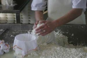 Quesería. «Quesos Reyes»