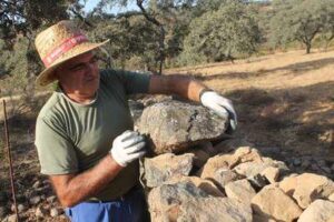 Construcción de paredes de piedra seca en Arroyomolinos de León
