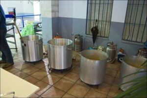 Elaboración de Pavo con fideos