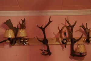 Artesanía en cuerno