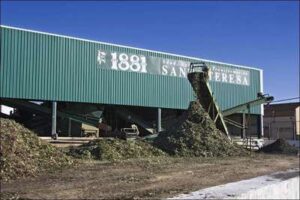 Producción de aceite