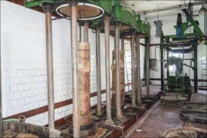 Producción de aceite