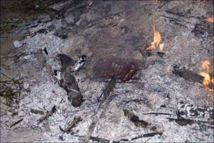 Elaboración del asado de productos del cerdo