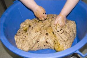 Elaboración de tortas de aceite